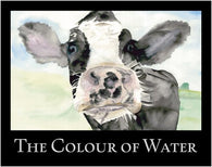 The Colour of Water